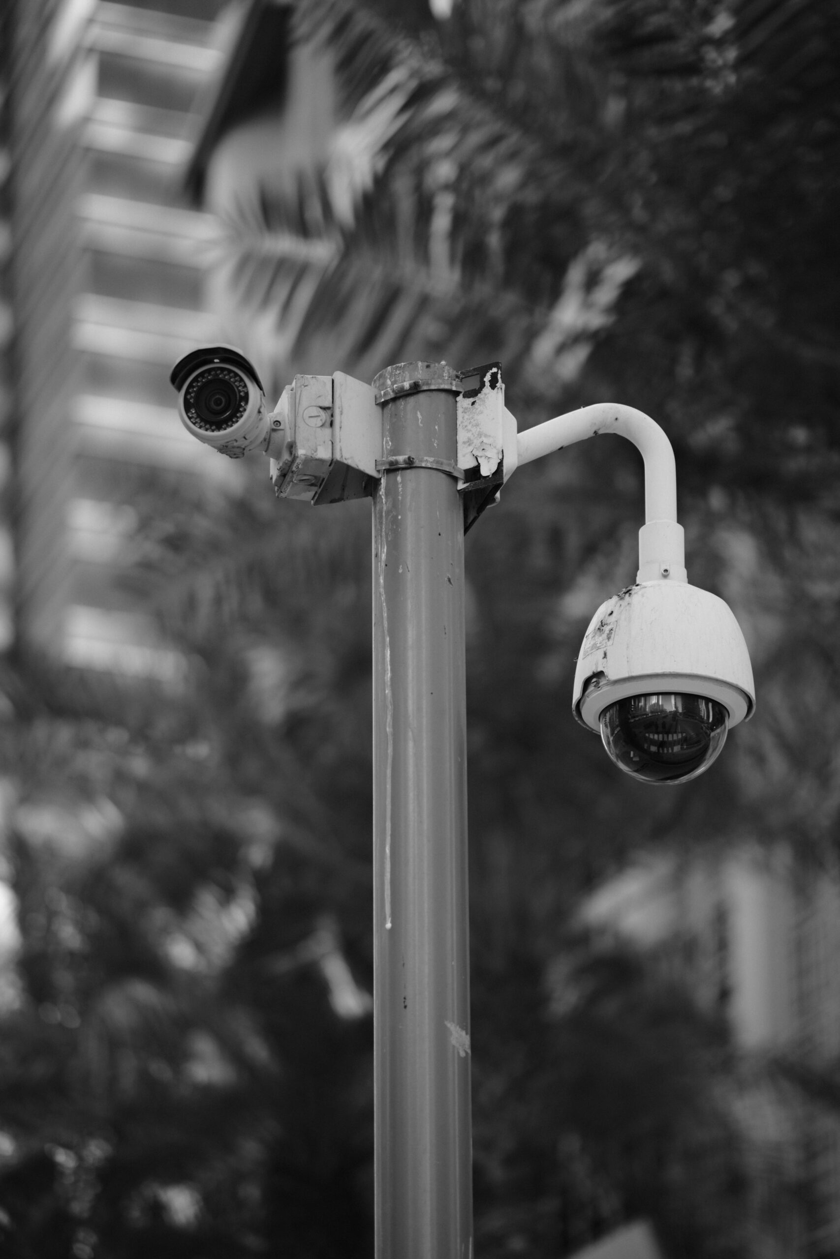 Pole-mounted dome camera, the kind of upgrade businesses make when moving from analog to IP cameras